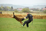 Storm Marinchuk K-9