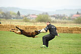 Storm Marinchuk K-9