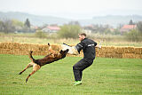 Storm Marinchuk K-9