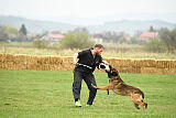 Storm Marinchuk K-9