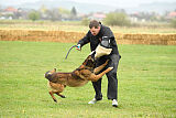 Storm Marinchuk K-9