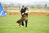 Storm Marinchuk K-9