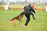 Storm Marinchuk K-9