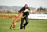 Hector vom Roten Sturm