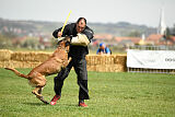 Hector vom Roten Sturm