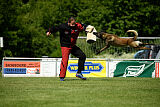 Aslan vom Sudwalder Forst