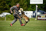 Aslan vom Sudwalder Forst