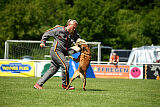 Enzo vom Buxtehuder Bullen