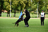 Baghira vom Schildwall