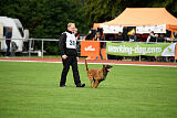 Enzo vom Buxtehuder Bullen