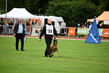 Enzo vom Buxtehuder Bullen