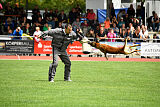 Furan vom Streitwald