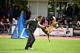 Armstrong Free to Fly