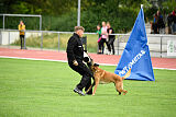 Armstrong Free to Fly