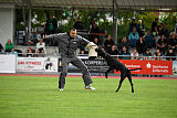Greif vom Hatzbachtal