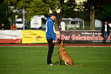 working-dog Esh