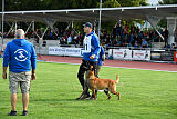 working-dog Esh