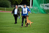 working-dog Esh