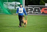 working-dog Esh