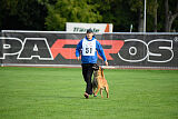 working-dog Esh