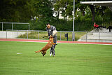 working-dog Esh