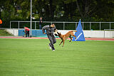 working-dog Esh