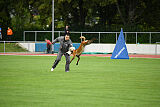 working-dog Esh