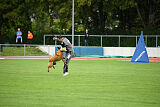 working-dog Esh