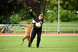 working-dog Frieda