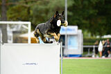 Xero vom Waisagrund