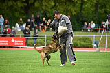 Donar Bestiaras
