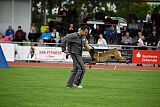 Donar Bestiaras