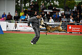 Donar Bestiaras