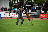 Donar Bestiaras