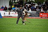 Donar Bestiaras