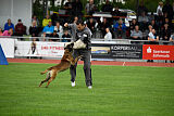 Donar Bestiaras