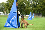 Bree Bonfire von Zamonien