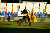 Pele Sabag K9