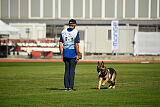 Indio dell'Altopiano