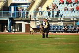 Deo Palacios