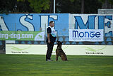 Aris Tore's Working Dogs