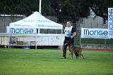 Aris Tore's Working Dogs