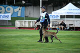 Mamba Tore's Working Dogs