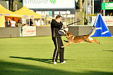 Crazy Canis Invictus