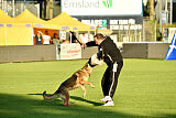 Crazy Canis Invictus