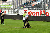 Tilli vom bösen Bruderblick