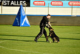 Azeem von der Michelbacher Heide
