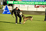 Azeem von der Michelbacher Heide