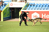 Iben vom Wällerhorst