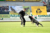 Figo von der Grenze